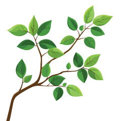 Obraz premium Tree branch with green leaves