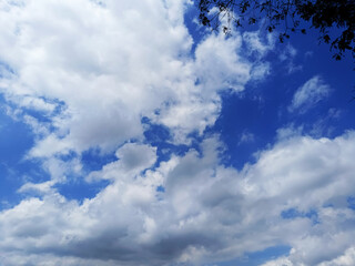 Wisps of white clouds in the blue sky