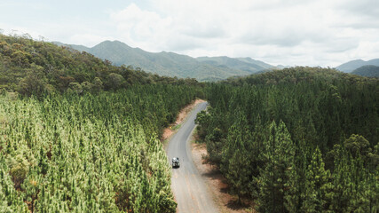 driving a truck through a forest 