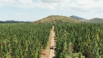 drone photo of a truck driving through a forest dirt road