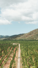 land rover defender driving through a forest