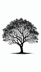 tree silhouette vector