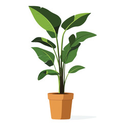 Decorative home plant vector