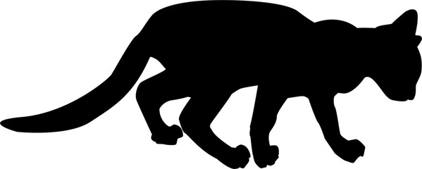 Black cat silhouette illustration, vector cat shadow
