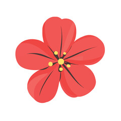 Flower isolated on white colour background