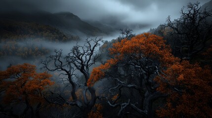 Fototapeta premium Moody Autumn Forest Landscape with Foggy Mountains and Bare Trees
