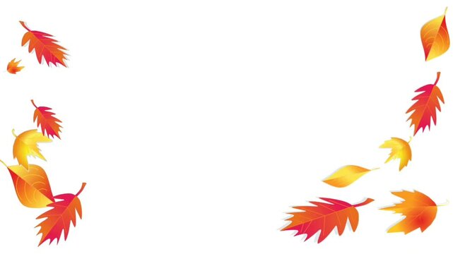 autumn leaves frame copy space with withe background 