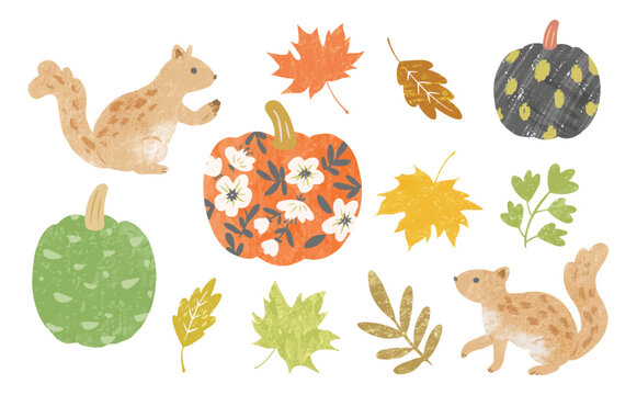A hand-drawn vector illustration set of pumpkins, autumn leaves, and squirrels. A vector illustration set for autumn banners, cards, posters, flyers, social media, and advertisements.