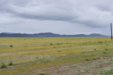 Obraz premium Landscape on the steppe, prairie. Overcast weather.