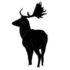 Fototapeta premium Black silhouette of an adult male deer with antlers walking into the distance