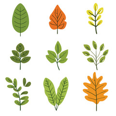 Set of green tropical leaves