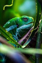 Vibrant green lizard sitting on a branch 