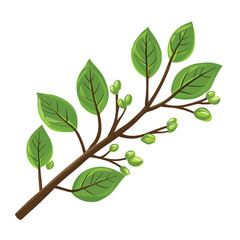 Fototapeta premium A branch with leaves and buds
