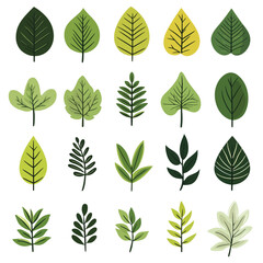 Set of green leaves, isolated on a white color background
