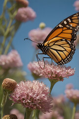 Fototapeta premium Vivid Close-Up Photo of Monarch Butterfly Resting Elegantly on a Bright Flower Petal