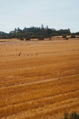 Obraz premium Landscape view 