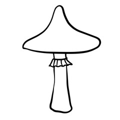simple mushroom outline doodle clip art with pointed cap and skirt, isolated on white for poster, children’s book, banner, souvenirs, t-shirt, card design.