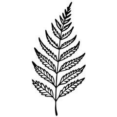 Naklejka premium fern leaves outline coloring book page line art drawing