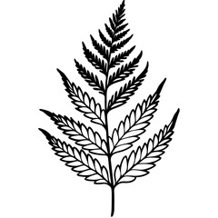 fern leaves outline coloring book page line art drawing