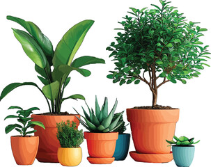Vector Illustration Image of ornamental flower plants in pots that are often planted in front of the house as greenery