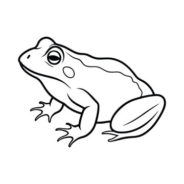 recommend clip art: a African Bullfrog Outline, Line art silhouette 