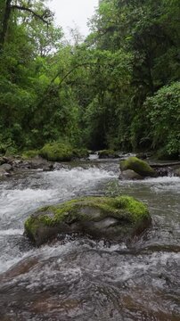 Corriente de r&iacute;o bajando por la monta&ntilde;a rodeado de mucha vegetaci&oacute;n y rocas en el bosque tropical en c&aacute;mara lenta