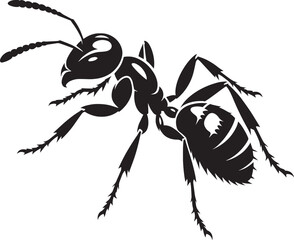 Ant insect Silhouette vector illustration isolated on a white background