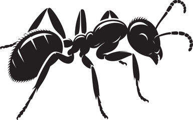 Ant insect Silhouette vector illustration isolated on a white background