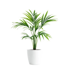 Obraz premium Green Plant In White Pot