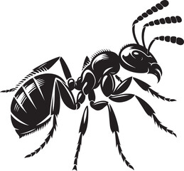 Ant insect Silhouette vector illustration isolated on a white background