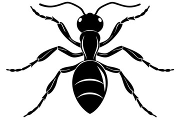 ant icon, ordinary ant, ant silhouette vector