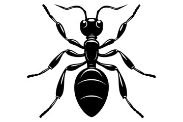 ant icon, ordinary ant, ant silhouette vector