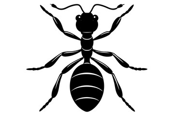 ant icon, ordinary ant, ant silhouette vector