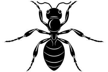 ant icon, ordinary ant, ant silhouette vector