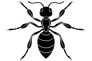 ant icon, ordinary ant, ant silhouette vector