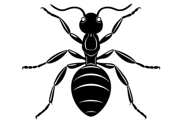 ant icon, ordinary ant, ant silhouette vector