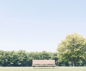 Obraz premium Quiet Park Bench Surrounded by Trees