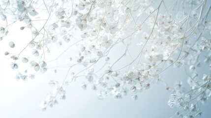 Beautiful swirling lines of tiny floral elements, arranged delicately against a soft white-light blue background for a graceful effect