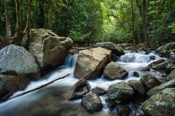 Rainforest creek in the Wet Tropics World Heritage Area of northern Queensland, Australia