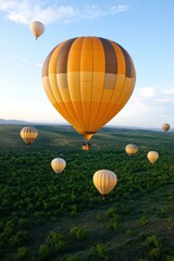 Obraz premium Balloons gently flowing into the air, carried by the breeze over a vast landscape.