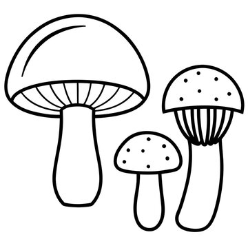 mushroom items outline coloring book page line art drawing