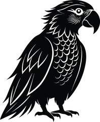 Obraz premium black parrot vector illustration silhouette, Print