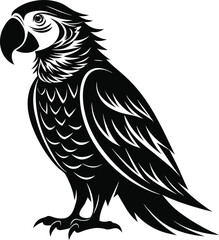 Fototapeta premium black parrot vector illustration silhouette, Print