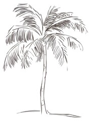 Obraz premium Continuous one line palm tree drawing Isolated on white background vector illustration