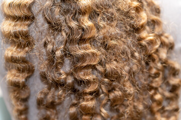 Beautiful Curly Hairstyle: Exploring Pattern and Texture.