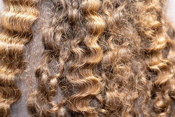 Beautiful Curly Hairstyle: Exploring Pattern and Texture.