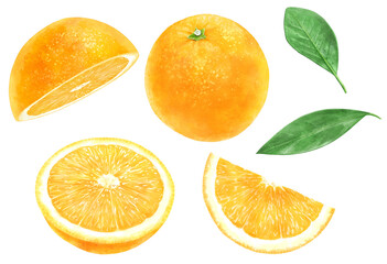 オレンジのイラスト素材セット