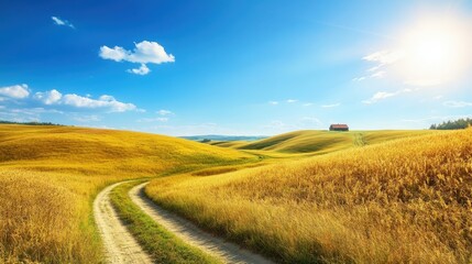 Obraz premium The Golden Fields Landscape