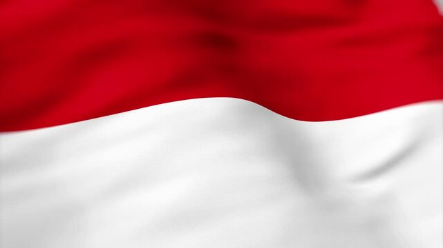 Monaco Flag waving 4k independence day