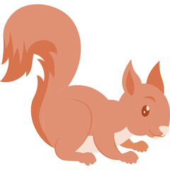 Squirrel Illustration